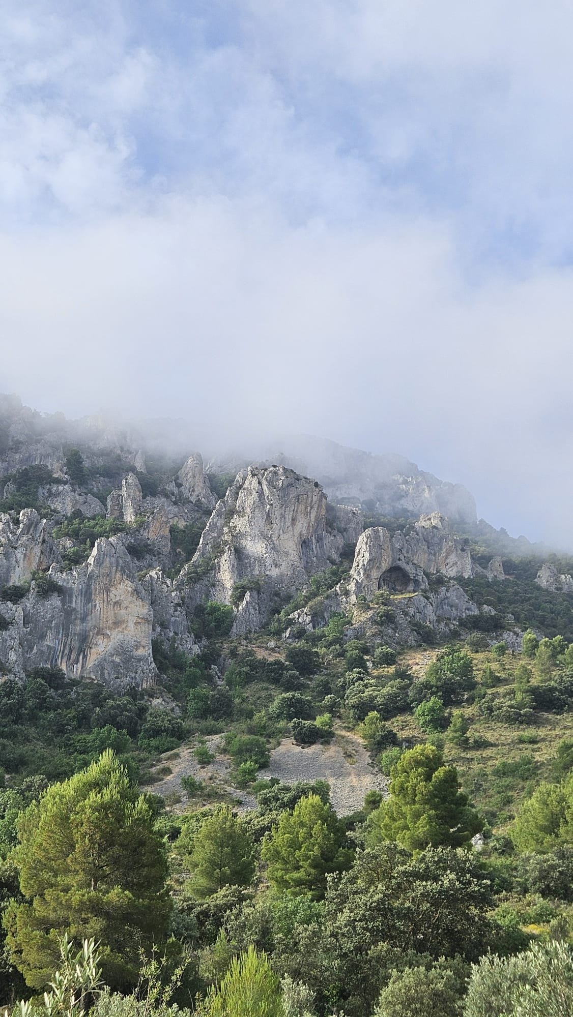 Foto de la ruta